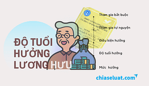 Độ tuổi hưởng lương hưu hiện nay