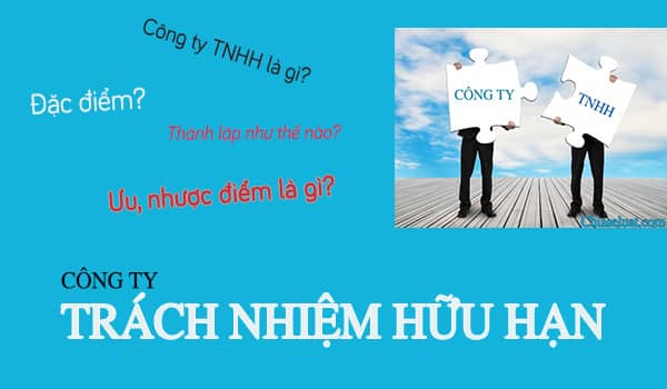Công ty trách nhiệm hữu hạn (TNHH)
