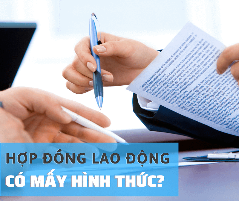 hợp đồng lao động hiện nay có mấy hình thức
