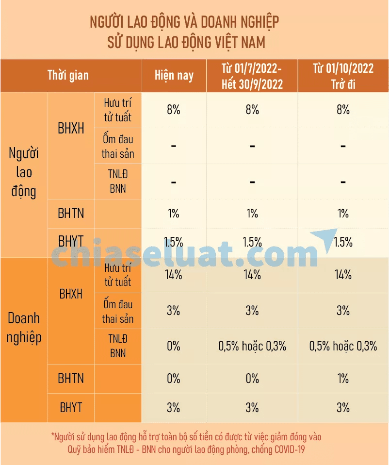 Chính sách về BHXH thay đổi với người lao động và doanh nghiệp sử dụng lao động tại Việt Nam năm 2022 - Chia sẻ luật