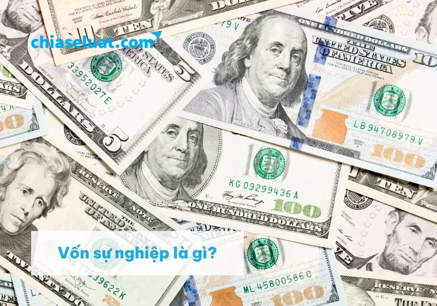 Vốn sự nghiệp là gì